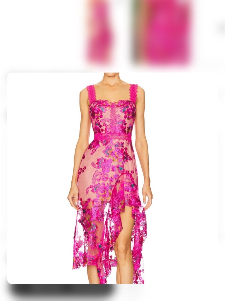 Bronx And Banco Hot Pink Floral Lace High-Low Dress